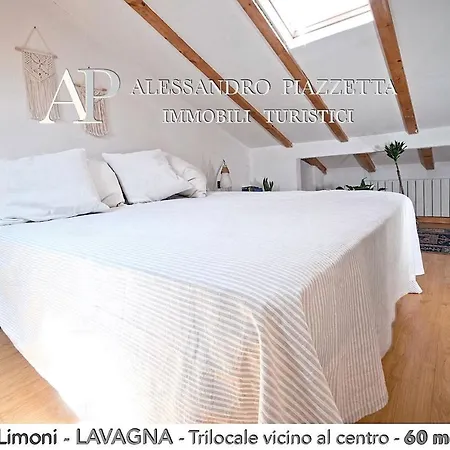 Apartment Mansarda Limoni *